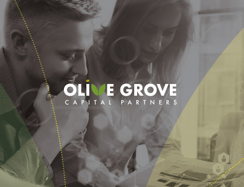 Olive Grove